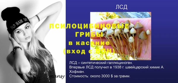 PSILOCYBIN Бронницы
